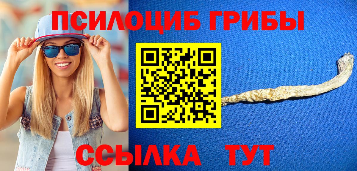 Новозыбков  Псилоцибиновые грибы Magic Shrooms  Вход с VPN  Галлюциногенные грибы прущие грибы 